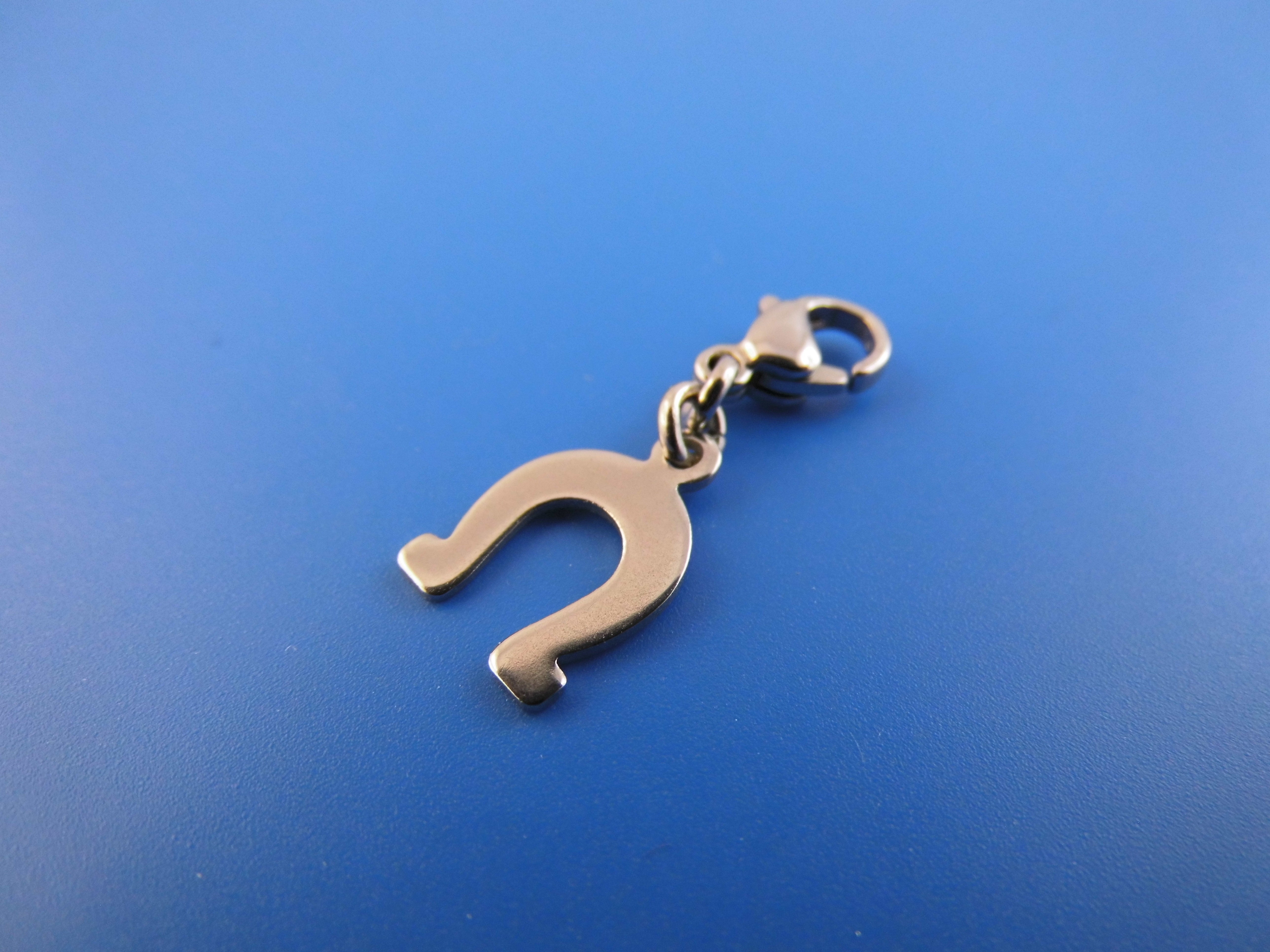 Edelstahl Anhänger Charm verschiedene Motive